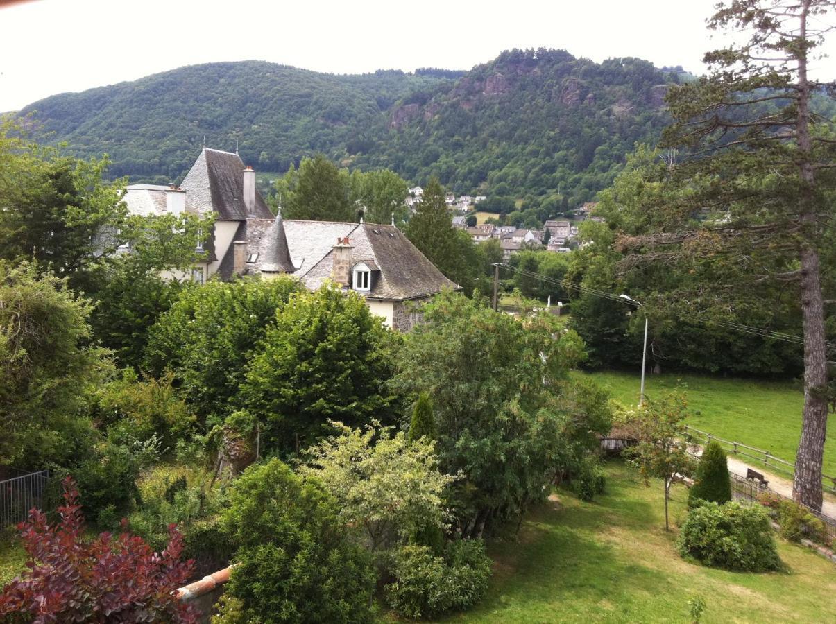 Le Kino Panorama Bed and Breakfast Vic-sur-Cère Exteriör bild
